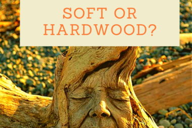 Best wood carving wood