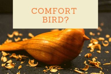 Comfort Bird Carving Kit