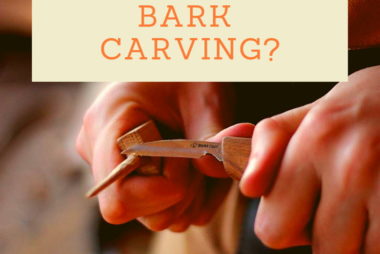 Best wood carving tools for bark carving