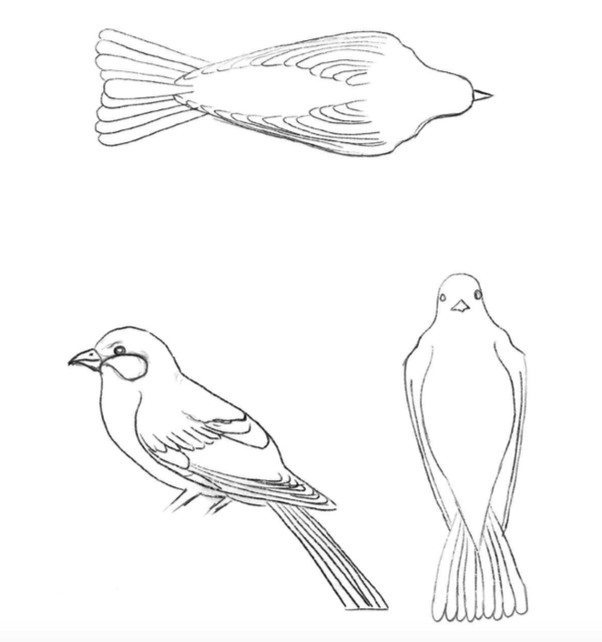 bird wood carving pattern